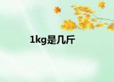 1kg是幾斤
