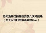 冬天沒開口的榴蓮要放幾天才能熟（冬天沒開口的榴蓮要放幾天）