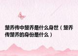 楚喬傳中楚喬是什么身世（楚喬傳楚喬的身份是什么）