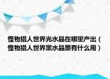 怪物獵人世界光水晶在哪里產(chǎn)出（怪物獵人世界黑水晶票有什么用）