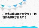 廣西省靈山縣屬于哪個市（廣西省靈山縣屬于什么市）