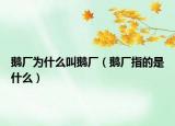 鵝廠為什么叫鵝廠（鵝廠指的是什么）