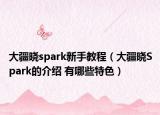 大疆曉spark新手教程（大疆曉Spark的介紹 有哪些特色）