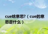 cue啥意思?（cue的意思是什么）