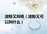 淀粉又叫啥（淀粉又可以叫什么）