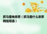 抓馬是啥意思（抓馬是什么意思網(wǎng)絡(luò)用語）