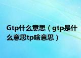 Gtp什么意思（gtp是什么意思tp啥意思）