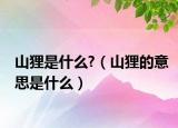 山貍是什么?（山貍的意思是什么）