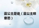 藍公主是誰（藍公主啥意思）