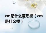 cm是什么意思梗（cm是什么梗）