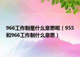 966工作制是什么意思呢（955和966工作制什么意思）