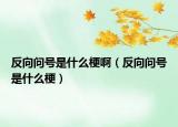 反向問(wèn)號(hào)是什么梗?。ǚ聪騿?wèn)號(hào)是什么梗）