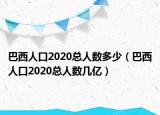 巴西人口2020總?cè)藬?shù)多少（巴西人口2020總?cè)藬?shù)幾億）