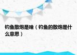 釣魚散炮是啥（釣魚的散炮是什么意思）
