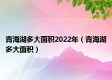 青海湖多大面積2022年（青海湖多大面積）