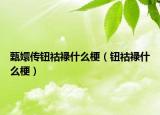 甄嬛傳鈕祜祿什么梗（鈕祜祿什么梗）