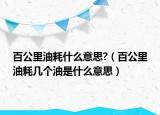 百公里油耗什么意思?（百公里油耗幾個油是什么意思）