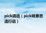 pick詞語(yǔ)（pick啥意思流行語(yǔ)）