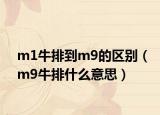 m1牛排到m9的區(qū)別（m9牛排什么意思）