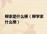 柳家是什么梗（柳學(xué)家什么梗）