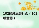 102的意思是什么（102啥意思）