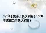 1700千焦等于多少米飯（1500千焦相當(dāng)于多少米飯）