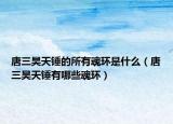 唐三昊天錘的所有魂環(huán)是什么（唐三昊天錘有哪些魂環(huán)）