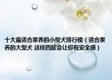 十大最適合家養(yǎng)的小型犬排行榜（適合家養(yǎng)的大型犬 這樣四款會讓你有安全感）