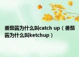 番茄醬為什么叫catch up（番茄醬為什么叫ketchup）