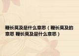 鞭長莫及是什么意思（鞭長莫及的意思 鞭長莫及是什么意思）