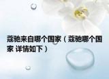 蔻馳來自哪個國家（蔻馳哪個國家 詳情如下）