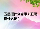 五黑框什么意思（五黑框什么梗）