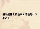 謂語(yǔ)是什么英語(yǔ)中（謂語(yǔ)是什么英語(yǔ)）