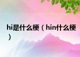 hi是什么梗（hin什么梗）