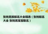 張姓男孩起名大全精選（張姓起名大全 張姓男寶寶取名）