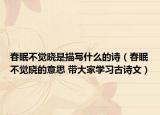 春眠不覺曉是描寫什么的詩(shī)（春眠不覺曉的意思 帶大家學(xué)習(xí)古詩(shī)文）