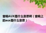 音響AUX是什么意思啊（音響上的aux是什么意思）