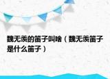 魏無羨的笛子叫啥（魏無羨笛子是什么笛子）