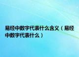 易經(jīng)中數(shù)字代表什么含義（易經(jīng)中數(shù)字代表什么）