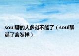 soul聊的人多就不能了（soul聊滿了會(huì)怎樣）