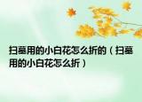 掃墓用的小白花怎么折的（掃墓用的小白花怎么折）