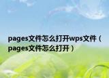 pages文件怎么打開wps文件（pages文件怎么打開）