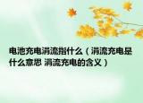 電池充電涓流指什么（涓流充電是什么意思 涓流充電的含義）