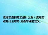 流連忘返的意思是什么呢（流連忘返是什么意思 流連忘返的含義）