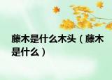 藤木是什么木頭（藤木是什么）