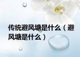 傳統(tǒng)避風(fēng)塘是什么（避風(fēng)塘是什么）