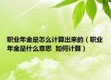 職業(yè)年金是怎么計算出來的（職業(yè)年金是什么意思  如何計算）