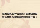 見微知著,是什么意思（見微知著是什么意思 見微知著的含義是什么）