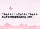 江南逢李龜年這句話的意思（江南逢李龜年的意思 江南逢李龜年是什么意思）