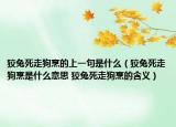狡兔死走狗烹的上一句是什么（狡兔死走狗烹是什么意思 狡兔死走狗烹的含義）